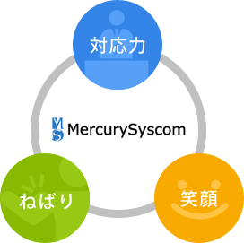 マーキュリーシスコムの3つのポイント